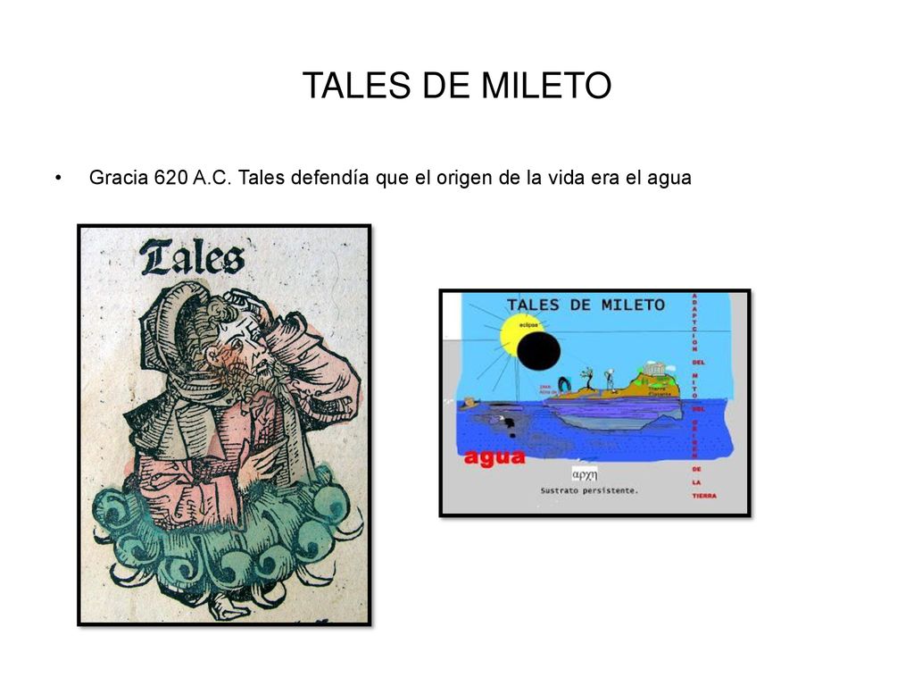 TALES DE MILETO Gracia 620 A.C. Tales defendía que el origen de la vida era el agua