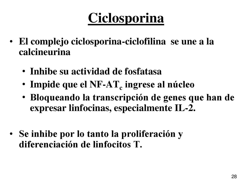 Ciclosporina El complejo ciclosporina-ciclofilina se une a la calcineurina. Inhibe su actividad de fosfatasa.