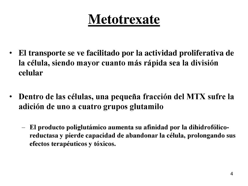 Metotrexate El transporte se ve facilitado por la actividad proliferativa de la célula, siendo mayor cuanto más rápida sea la división celular.