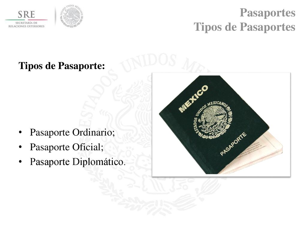 Pasaportes Tipos de Pasaportes
