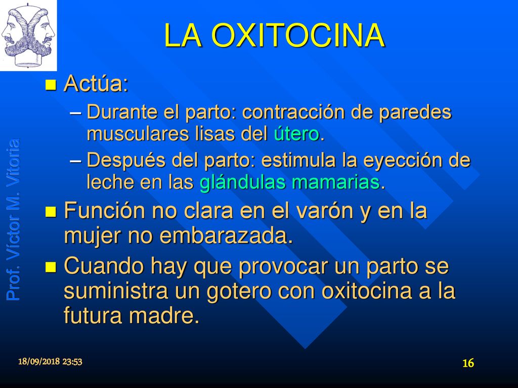 LA OXITOCINA Actúa: Durante el parto: contracción de paredes musculares lisas del útero.