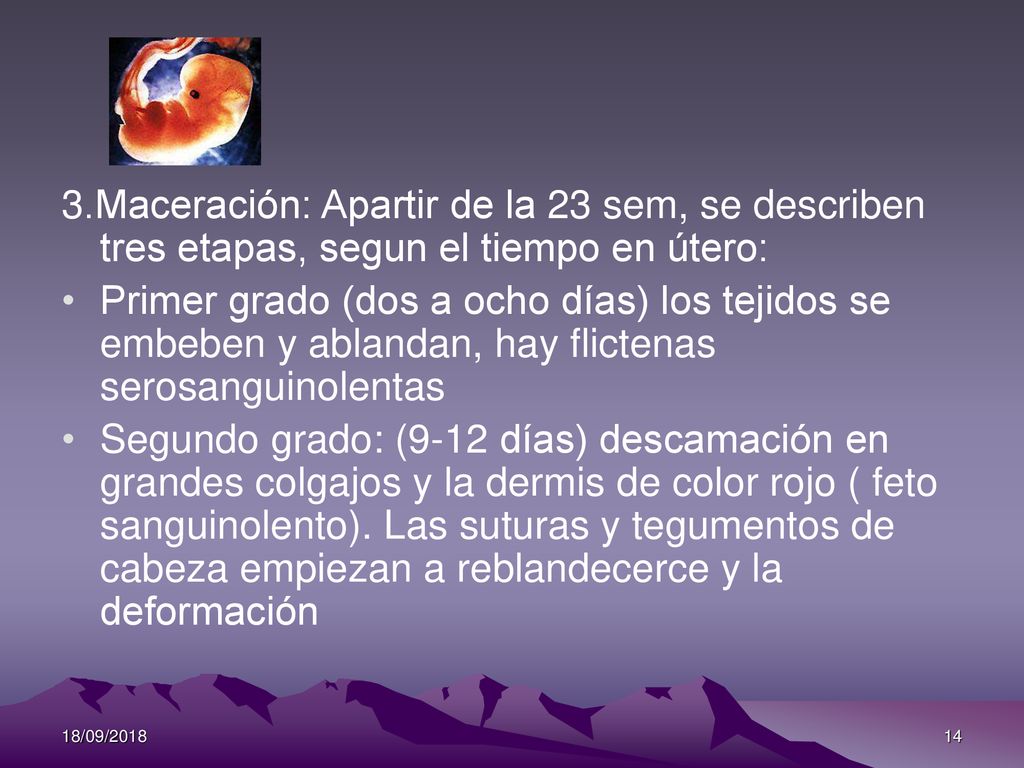 3.Maceración: Apartir de la 23 sem, se describen tres etapas, segun el tiempo en útero: