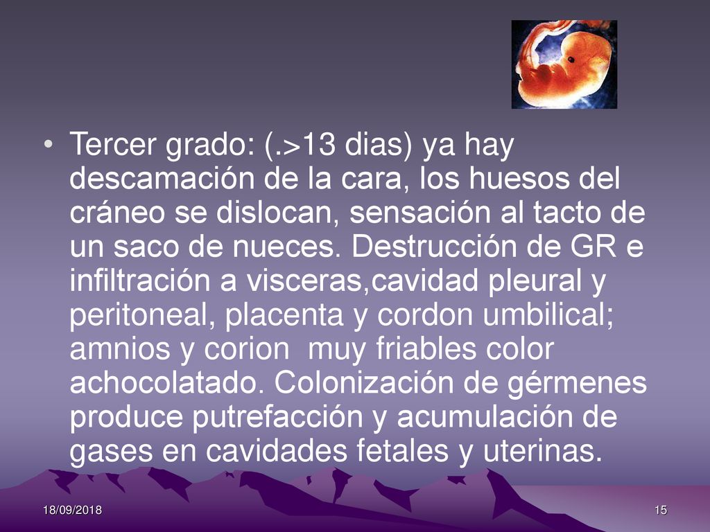 Tercer grado: (.>13 dias) ya hay descamación de la cara, los huesos del cráneo se dislocan, sensación al tacto de un saco de nueces. Destrucción de GR e infiltración a visceras,cavidad pleural y peritoneal, placenta y cordon umbilical; amnios y corion muy friables color achocolatado. Colonización de gérmenes produce putrefacción y acumulación de gases en cavidades fetales y uterinas.
