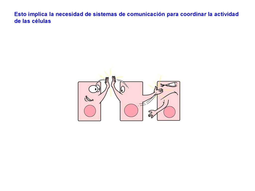 Esto implica la necesidad de sistemas de comunicación para coordinar la actividad de las células