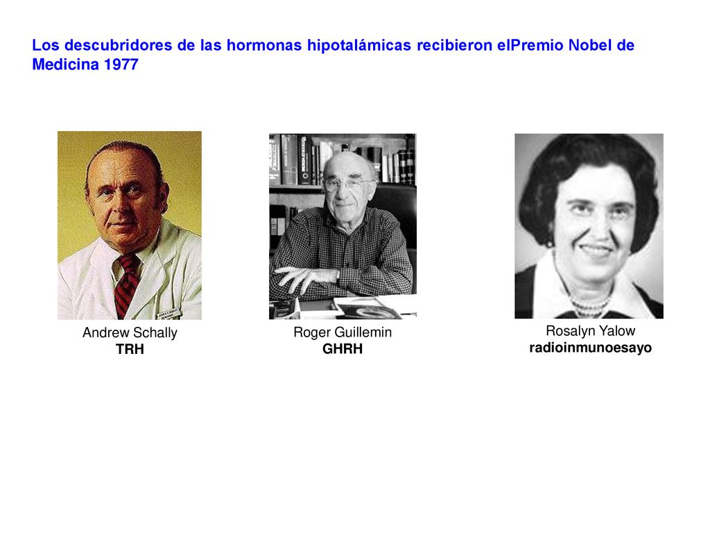 Los descubridores de las hormonas hipotalámicas recibieron elPremio Nobel de Medicina 1977