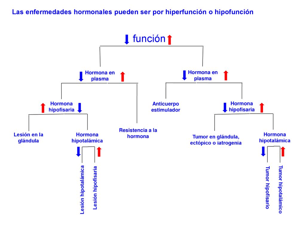 Las enfermedades hormonales pueden ser por hiperfunción o hipofunción