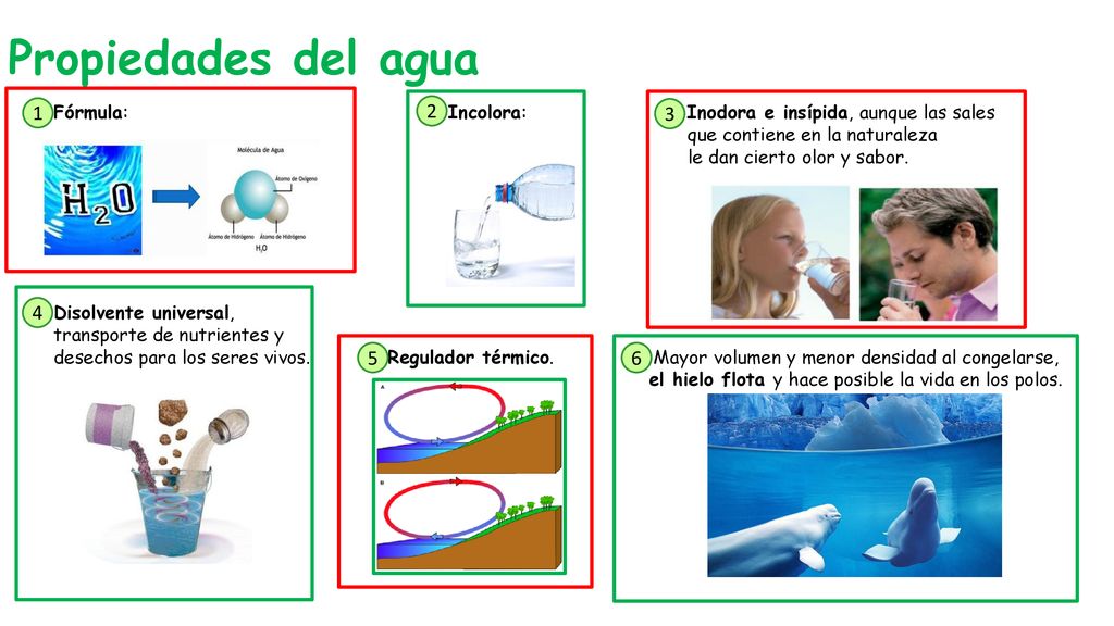 TEMA 10: LA HIDROSFERA. - ppt descargar