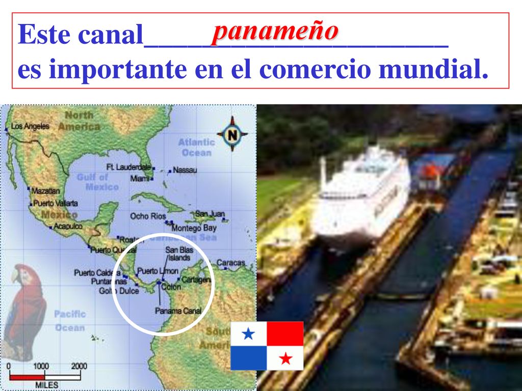 panameño Este canal_____________________ es importante en el comercio mundial.