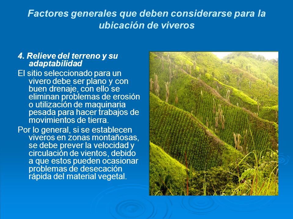 Factores generales que deben considerarse para la ubicación de viveros