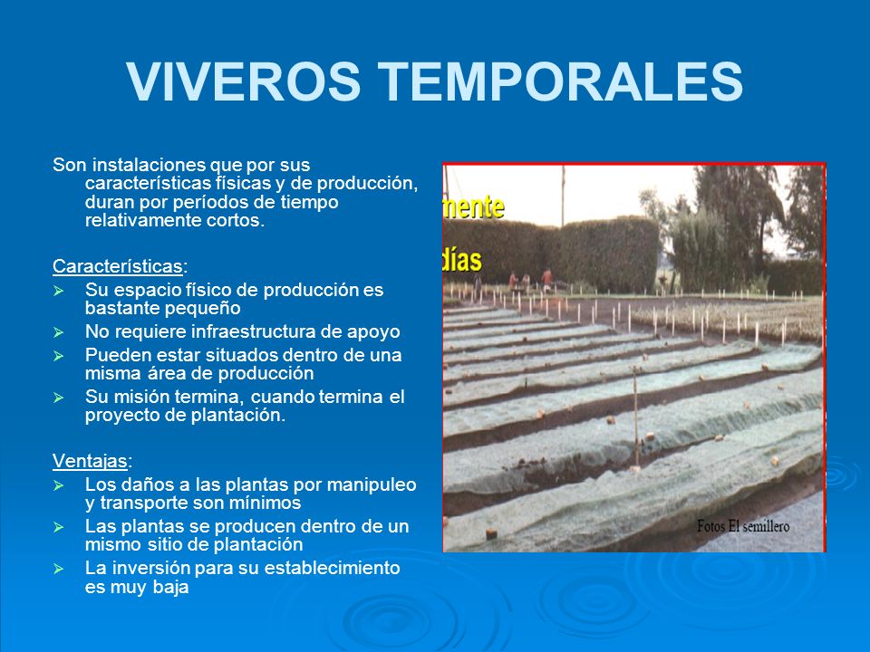 VIVEROS TEMPORALES Son instalaciones que por sus características físicas y de producción, duran por períodos de tiempo relativamente cortos.