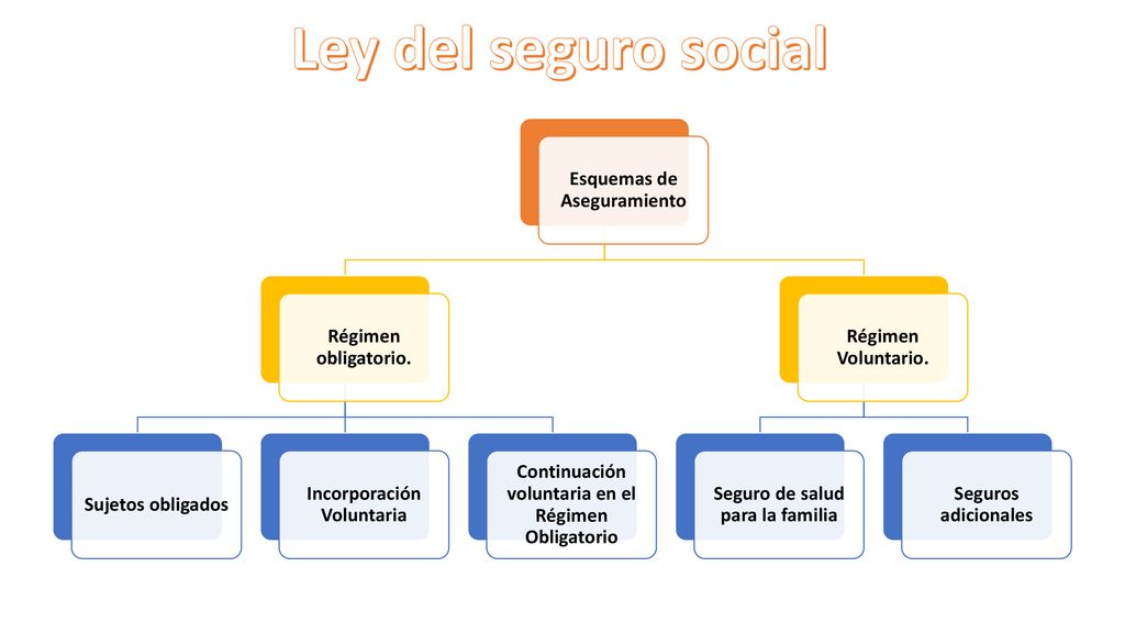 Ley del seguro social Esquemas de Aseguramiento Régimen obligatorio.