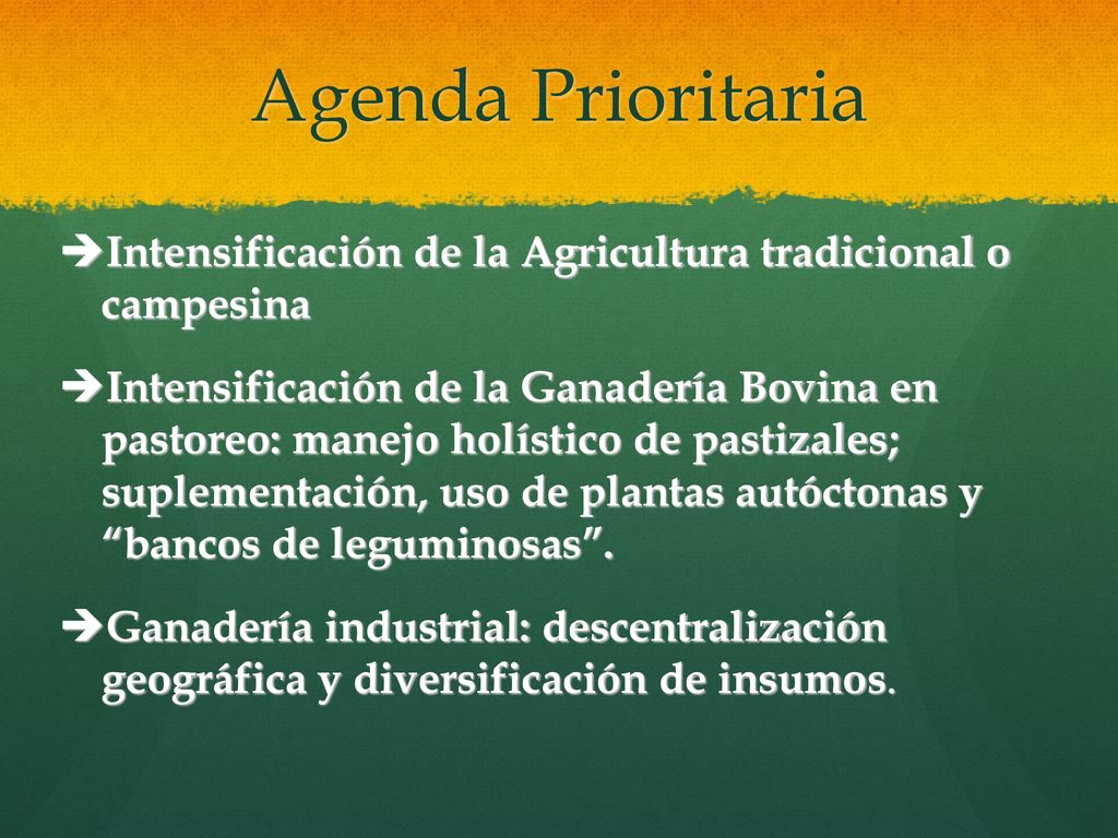 Agenda Prioritaria Intensificación de la Agricultura tradicional o campesina.