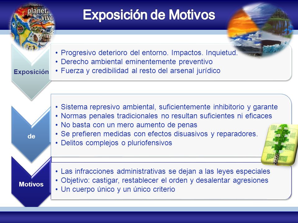 Exposición de Motivos COZUCUID - LUZ