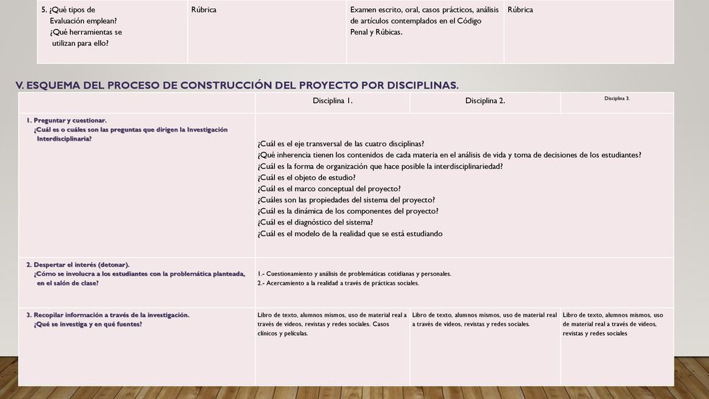 V. Esquema del proceso de construcción del proyecto por disciplinas.