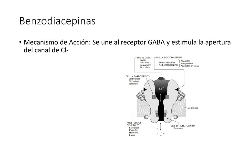 Benzodiacepinas Mecanismo de Acción: Se une al receptor GABA y estimula la apertura del canal de Cl-