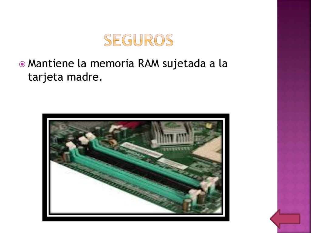 Seguros Mantiene la memoria RAM sujetada a la tarjeta madre.