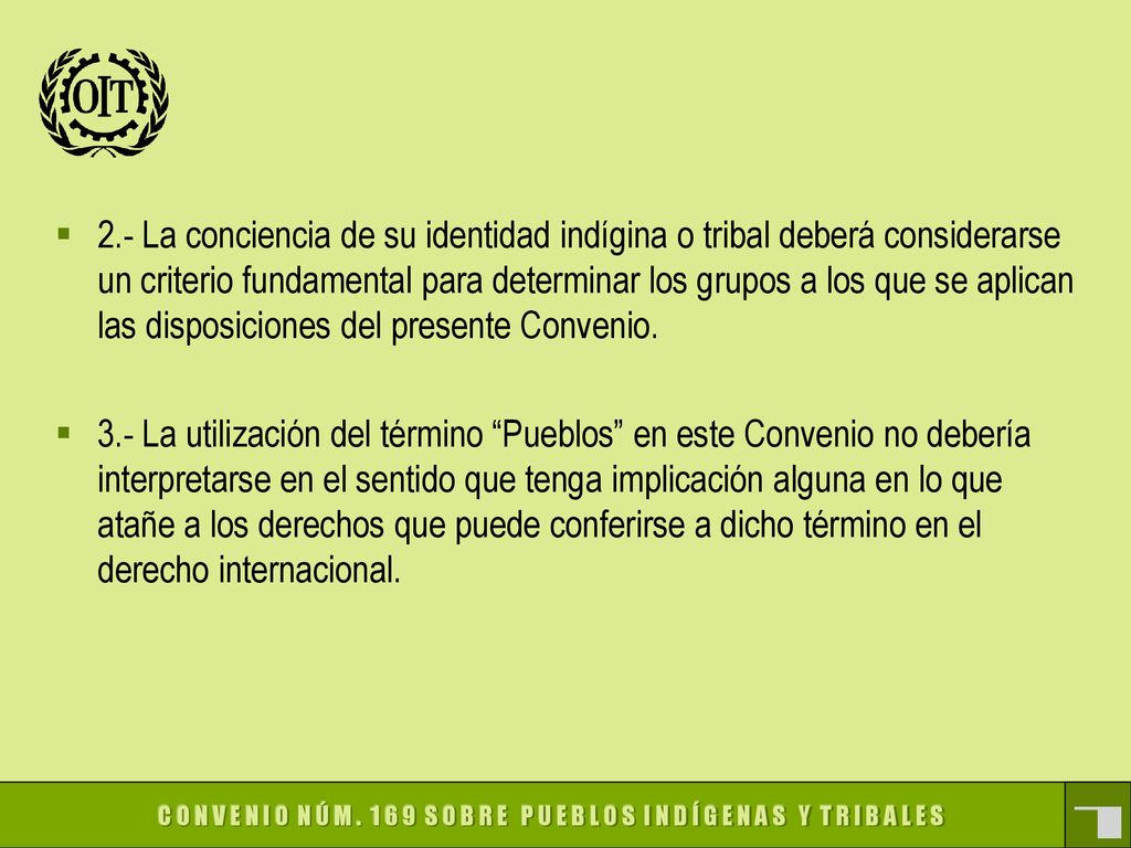 2.- La conciencia de su identidad indígina o tribal deberá considerarse un criterio fundamental para determinar los grupos a los que se aplican las disposiciones del presente Convenio.