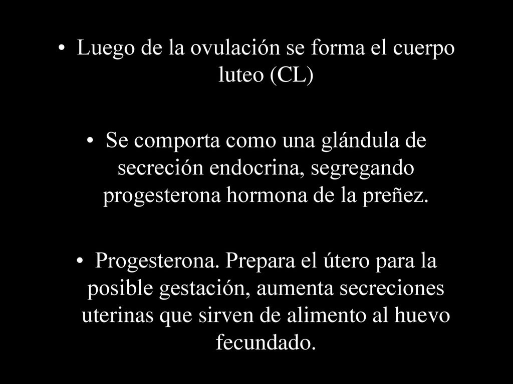 Luego de la ovulación se forma el cuerpo luteo (CL)