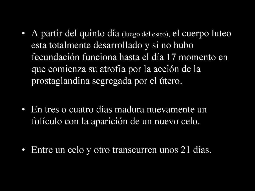 A partir del quinto día (luego del estro), el cuerpo luteo esta totalmente desarrollado y si no hubo fecundación funciona hasta el día 17 momento en que comienza su atrofia por la acción de la prostaglandina segregada por el útero.