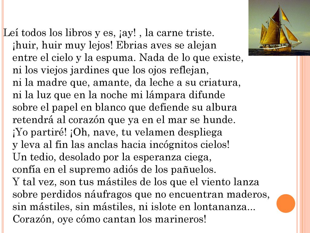 Leí todos los libros y es, ¡ay. , la carne triste