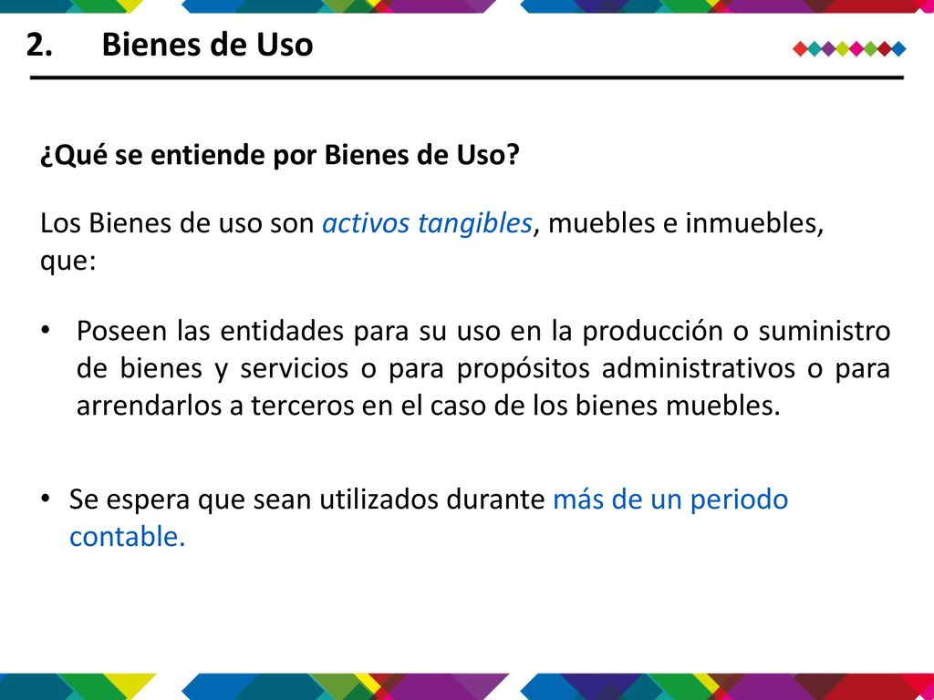 Bienes de Uso ¿Qué se entiende por Bienes de Uso