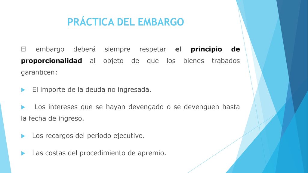 PRÁCTICA DEL EMBARGO El embargo deberá siempre respetar el principio de proporcionalidad al objeto de que los bienes trabados garanticen: