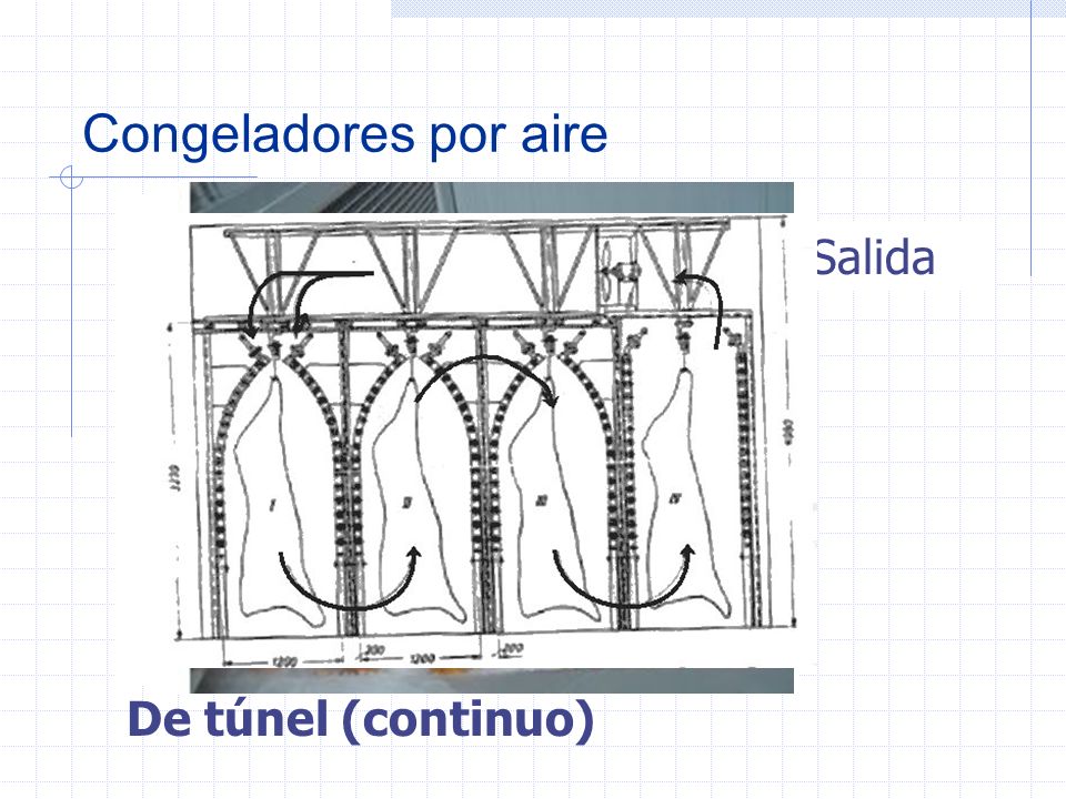 Congeladores por aire Entrada Salida De túnel (continuo)