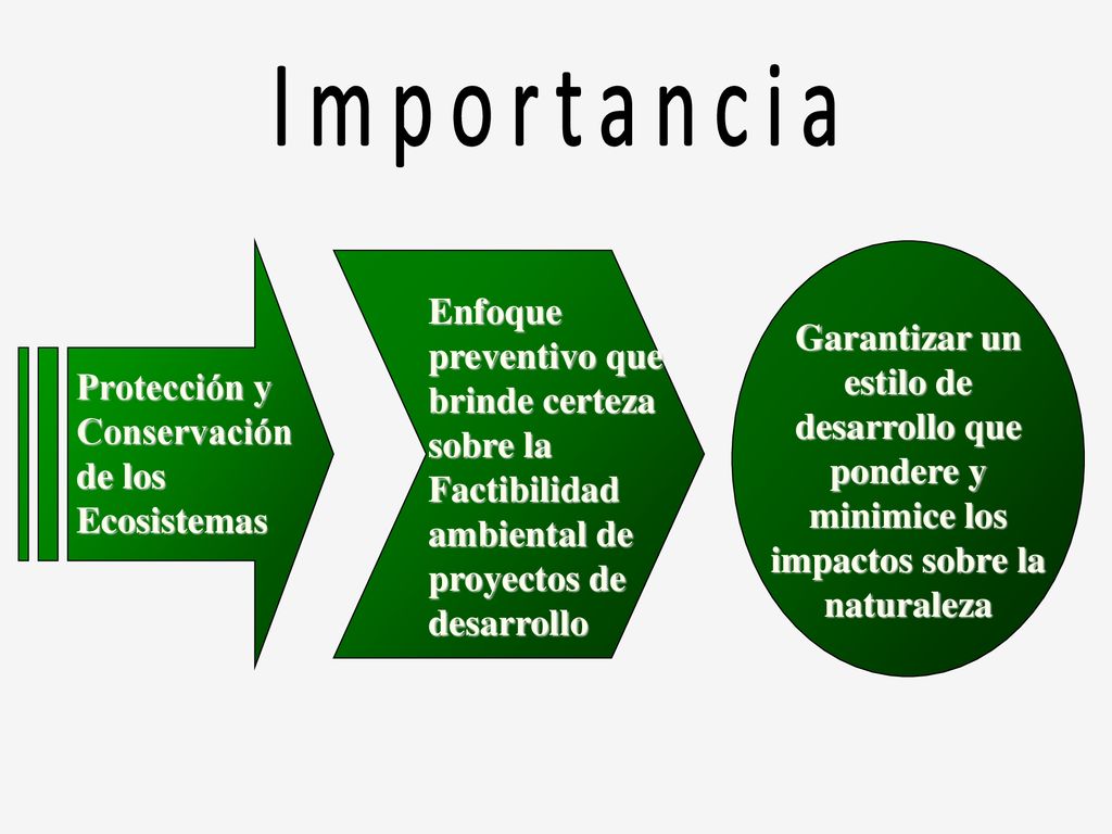 Importancia Protección y Conservación de los Ecosistemas. Garantizar un estilo de desarrollo que pondere y minimice los impactos sobre la naturaleza.