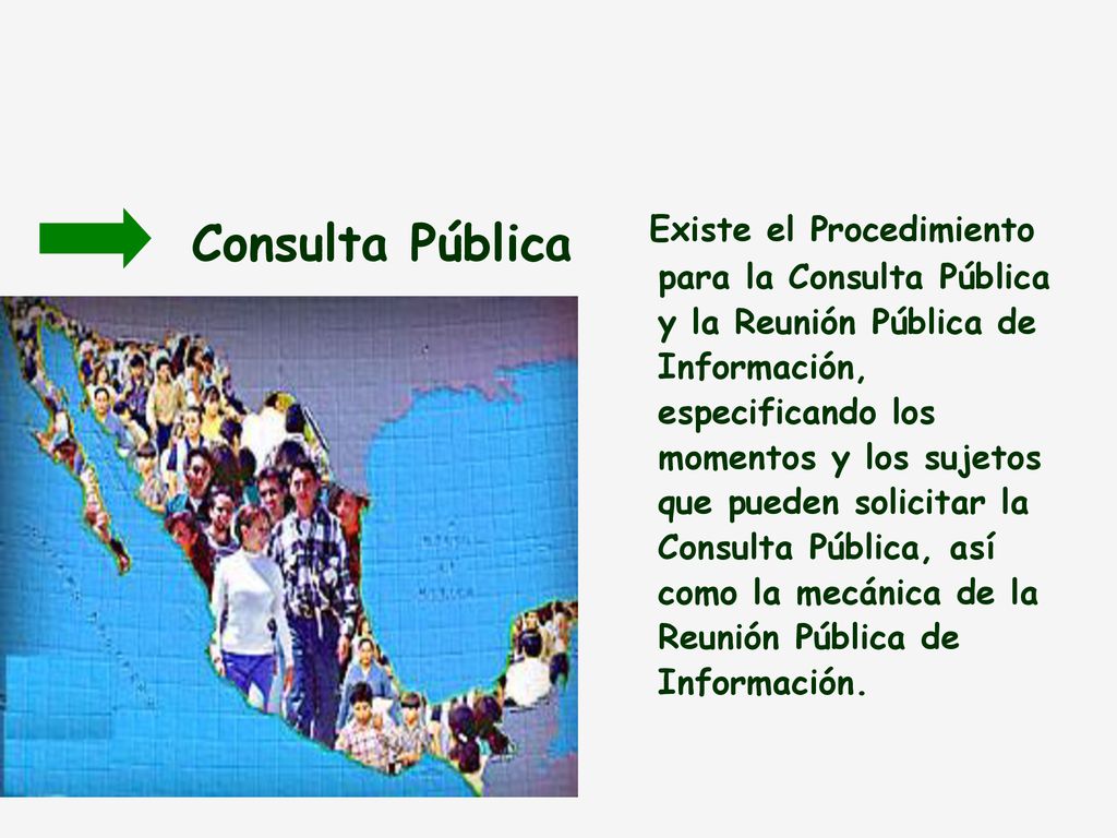 Existe el Procedimiento para la Consulta Pública y la Reunión Pública de Información, especificando los momentos y los sujetos que pueden solicitar la Consulta Pública, así como la mecánica de la Reunión Pública de Información.
