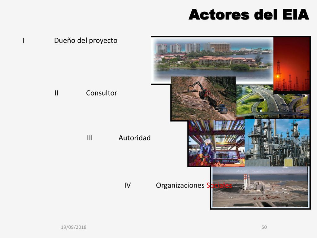 Actores del EIA I Dueño del proyecto II Consultor III Autoridad