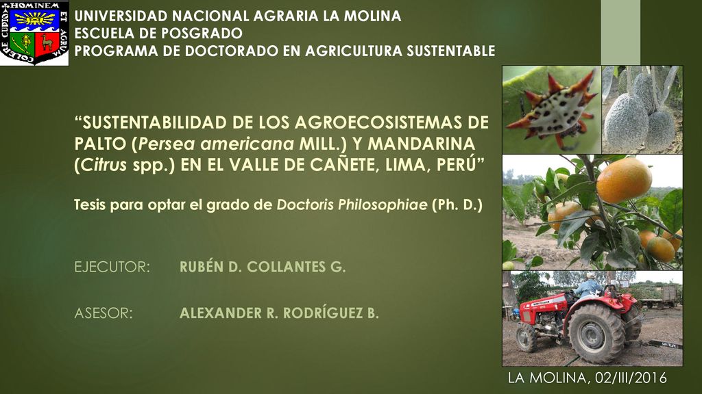 EJECUTOR: RUBÉN D. COLLANTES G. ASESOR: ALEXANDER R. RODRÍGUEZ B.