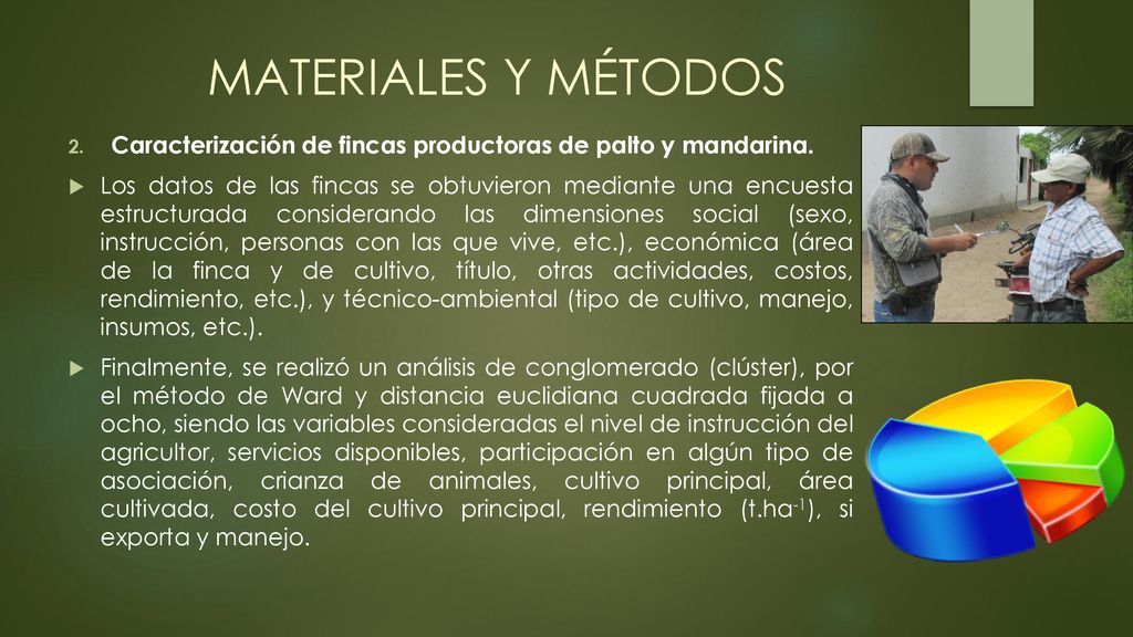 MATERIALES Y MÉTODOS Caracterización de fincas productoras de palto y mandarina.