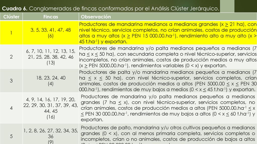Cuadro 6. Conglomerados de fincas conformados por el Análisis Clúster Jerárquico.