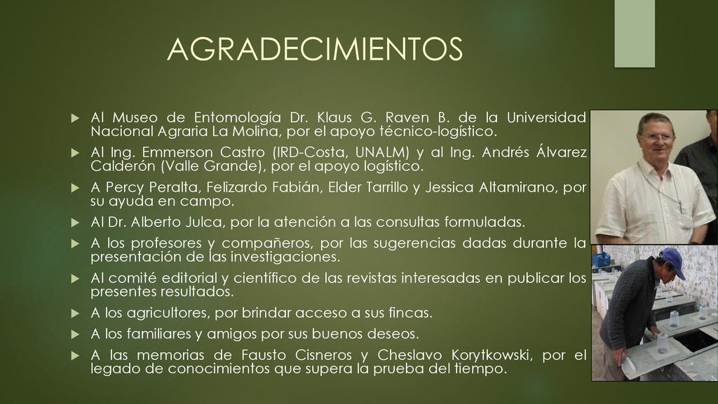 AGRADECIMIENTOS Al Museo de Entomología Dr. Klaus G. Raven B. de la Universidad Nacional Agraria La Molina, por el apoyo técnico-logístico.