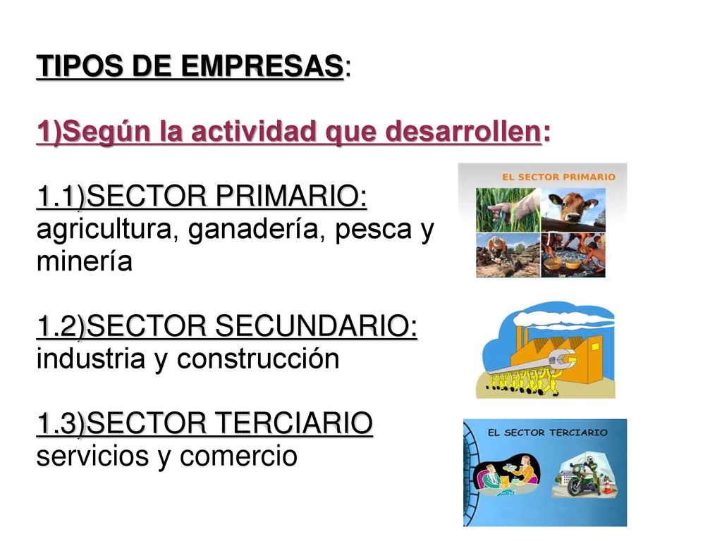 TIPOS DE EMPRESAS: 1)Según la actividad que desarrollen:. 1