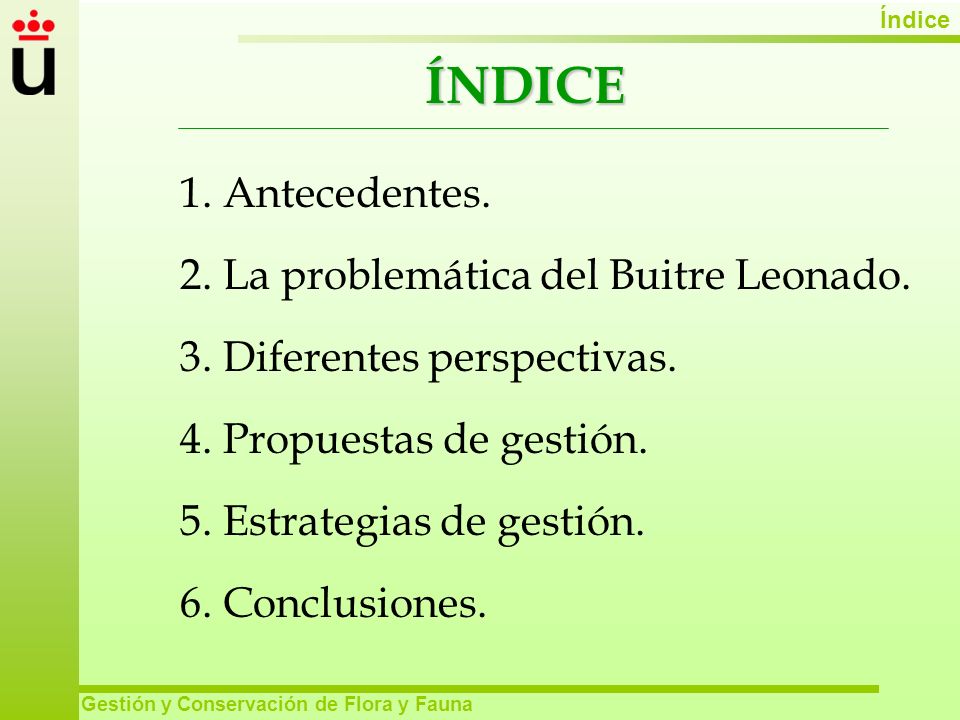 ÍNDICE 1. Antecedentes. 2. La problemática del Buitre Leonado.