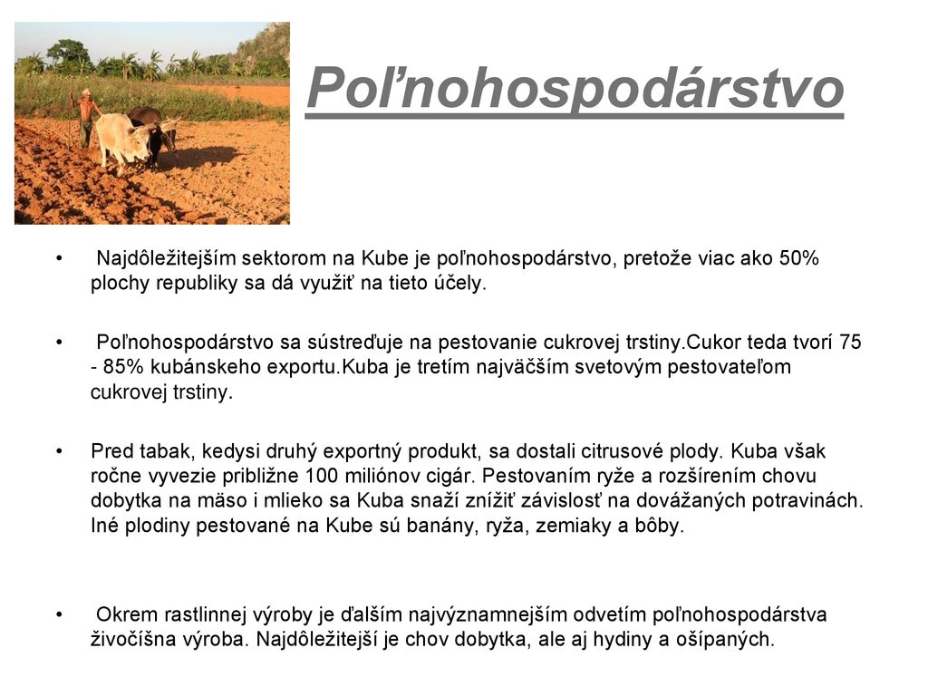 Poľnohospodárstvo Najdôležitejším sektorom na Kube je poľnohospodárstvo, pretože viac ako 50% plochy republiky sa dá využiť na tieto účely.