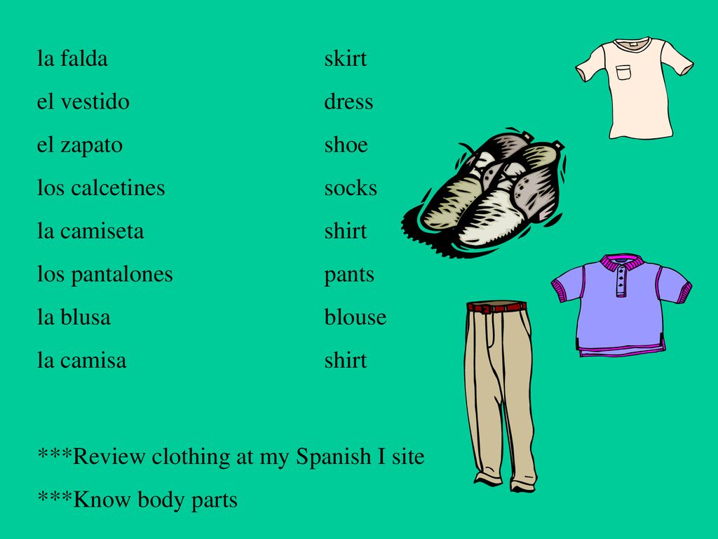 la falda skirt el vestido dress. el zapato shoe. los calcetines socks. la camiseta shirt.