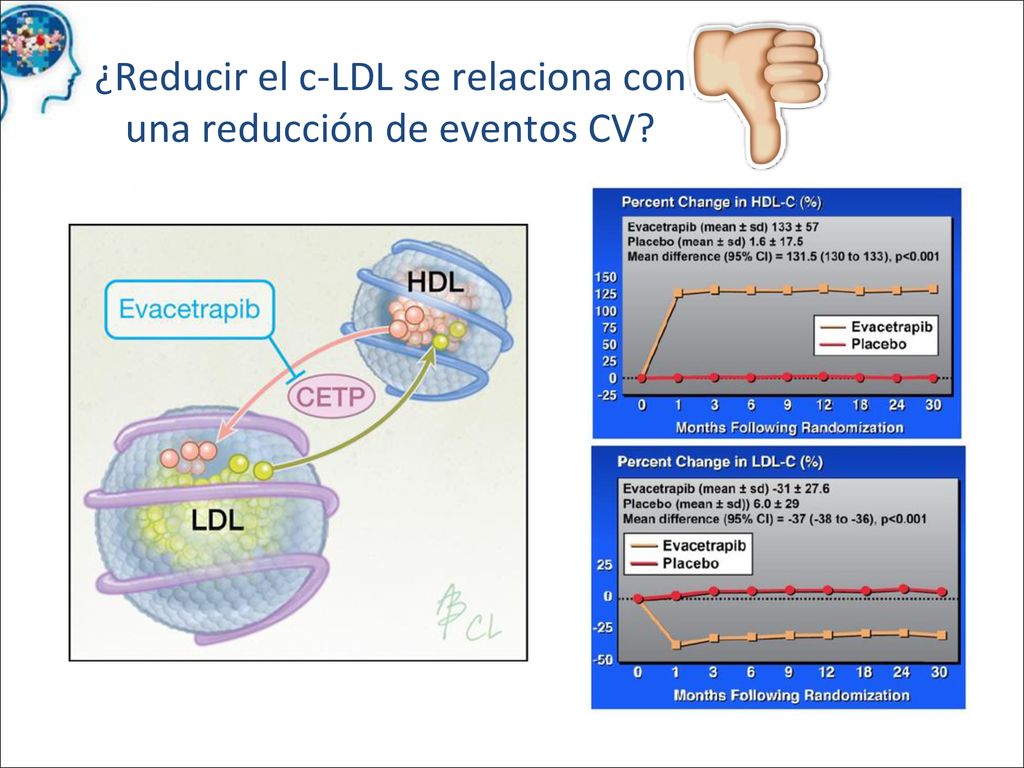Evacetrapib modifica el perfil lipídico doblemente: incrementa el c-HDL y reduce el c-LDL aproximadamente en un 40%.