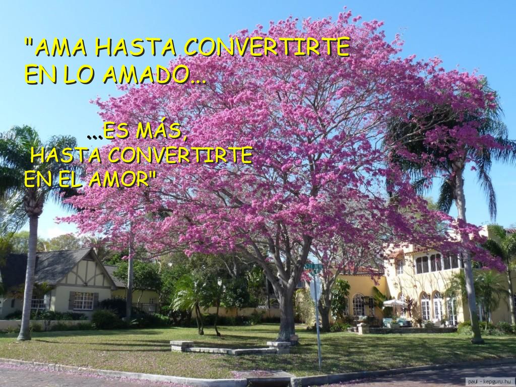 AMA HASTA CONVERTIRTE EN LO AMADO ES MÁS, HASTA CONVERTIRTE