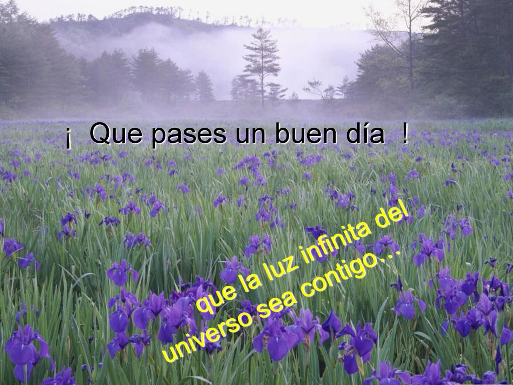 ¡ Que pases un buen día ! que la luz infinita del universo sea contigo…