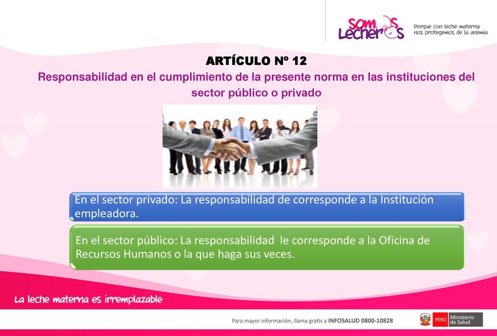 ARTÍCULO Nº 12 Responsabilidad en el cumplimiento de la presente norma en las instituciones del sector público o privado.