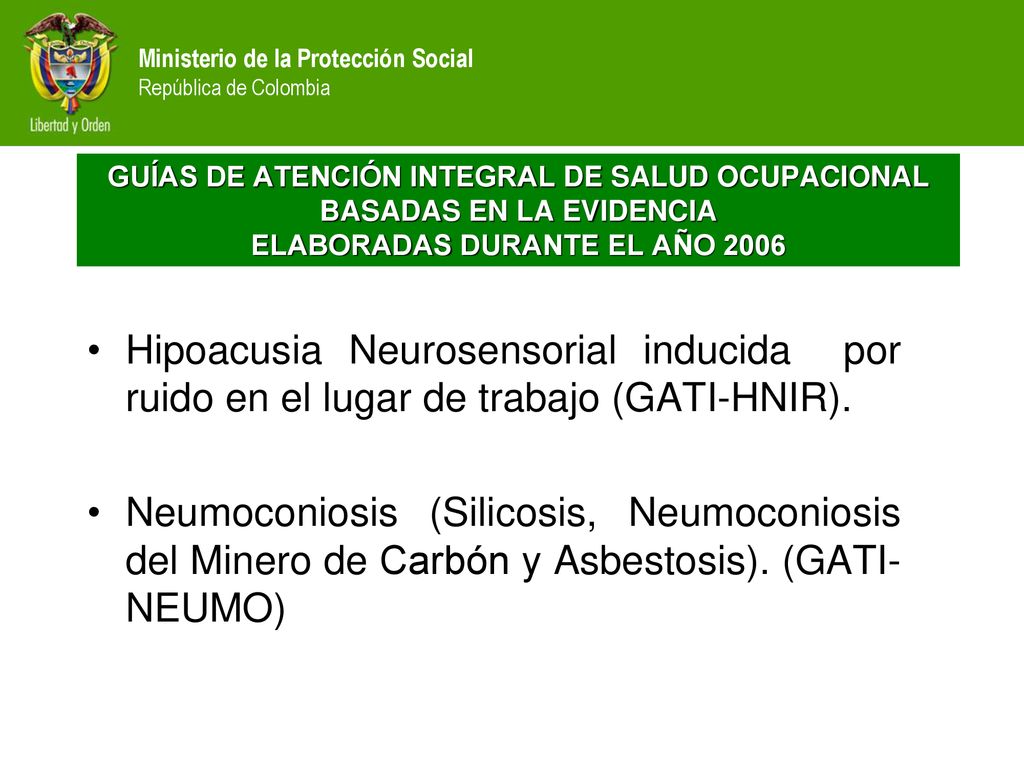 GUÍAS DE ATENCIÓN INTEGRAL DE SALUD OCUPACIONAL BASADAS EN LA EVIDENCIA ELABORADAS DURANTE EL AÑO 2006