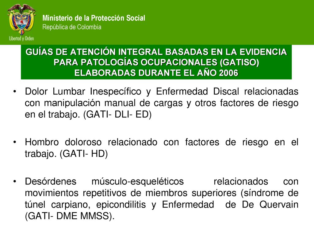 GUÍAS DE ATENCIÓN INTEGRAL BASADAS EN LA EVIDENCIA PARA PATOLOGÍAS OCUPACIONALES (GATISO) ELABORADAS DURANTE EL AÑO 2006