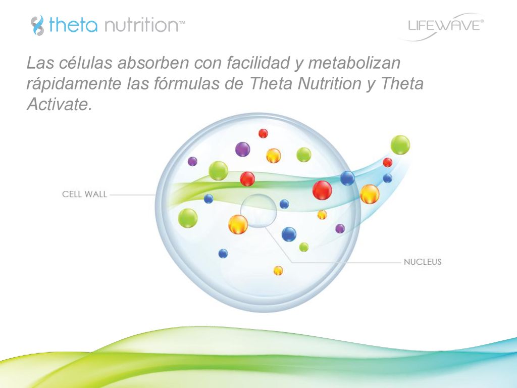 Las células absorben con facilidad y metabolizan rápidamente las fórmulas de Theta Nutrition y Theta Activate.