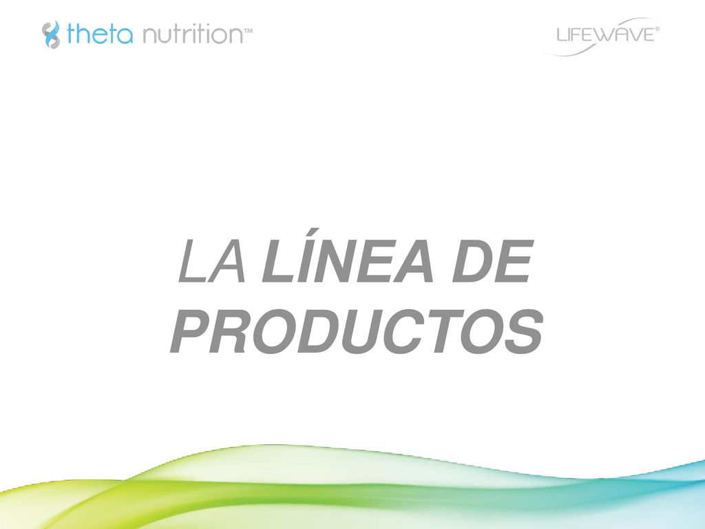 LA LÍNEA DE PRODUCTOS
