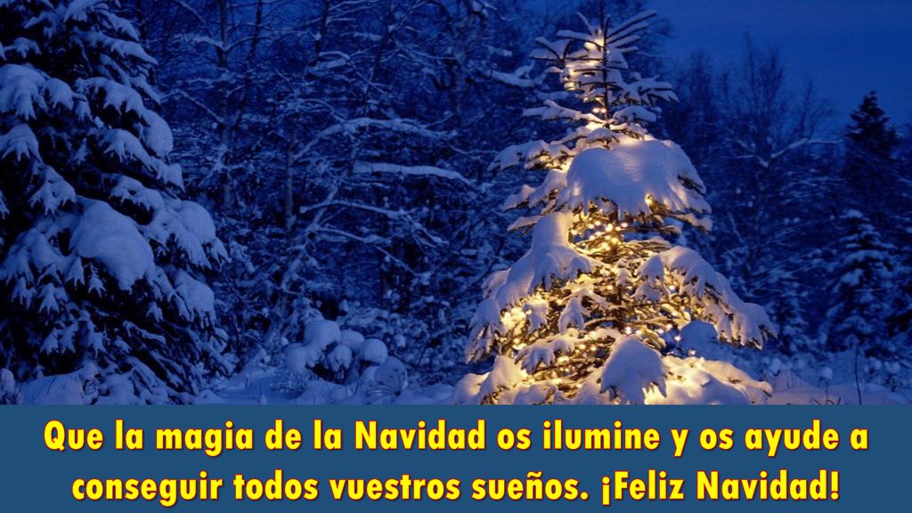 Que la magia de la Navidad os ilumine y os ayude a conseguir todos vuestros sueños. ¡Feliz Navidad!