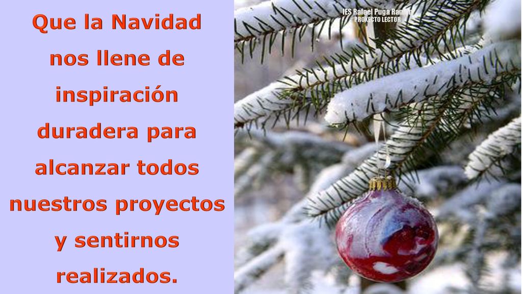 Que la Navidad nos llene de inspiración duradera para alcanzar todos nuestros proyectos y sentirnos realizados.