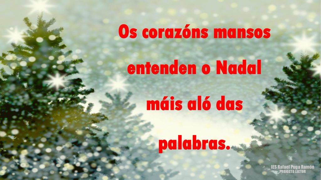 Os corazóns mansos entenden o Nadal máis aló das palabras.