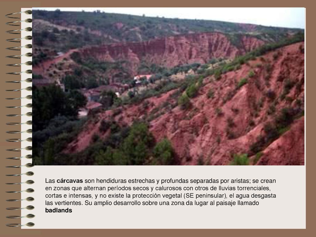 Las cárcavas son hendiduras estrechas y profundas separadas por aristas; se crean en zonas que alternan períodos secos y calurosos con otros de lluvias torrenciales, cortas e intensas, y no existe la protección vegetal (SE peninsular), el agua desgasta las vertientes.